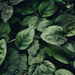 Meet your Posher, Paige